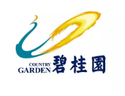 龙文碧桂园地产